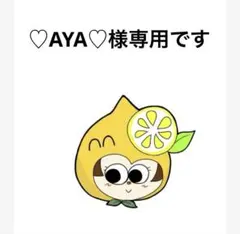 こちらは♡AYA♡様専用です