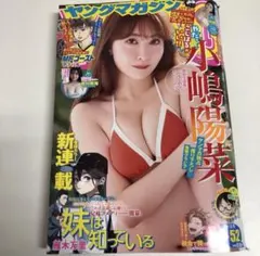 2025年最新】小嶋陽菜 ヤングマガジンの人気アイテム - メルカリ