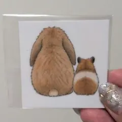 たれみみうさぎ マルチステッカー