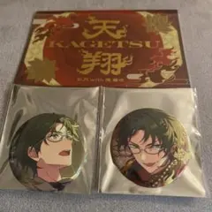 あんスタ コレクション缶バッジ 蓮巳敬人