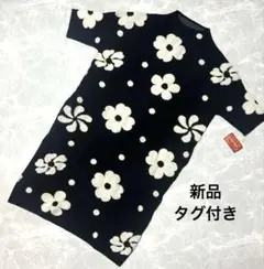 Item thumbnail for item 672e2577-d3a9-4321-95c1-26b964ce8ba7