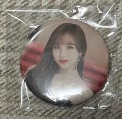 TWICE ミナ 缶バッジ 缶バッチ レア ミサモ MISAMO