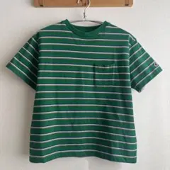 チャンピオン 半袖Tシャツ MC ボーダー みどり グリーン Champion