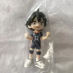 ハイキュー 山口忠 Palverse パルバース