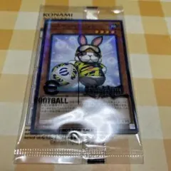 2026年最新】レスキューラビットの人気アイテム - メルカリ