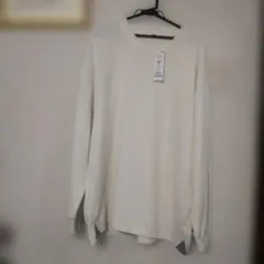 Item thumbnail for item 5e3924c1-3403-421a-bab6-db1aa3f1feb4