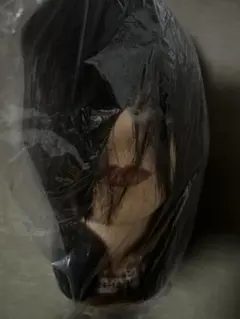 Item thumbnail for item d573faeb-ceea-45dc-8c62-0f43f5e7fe20