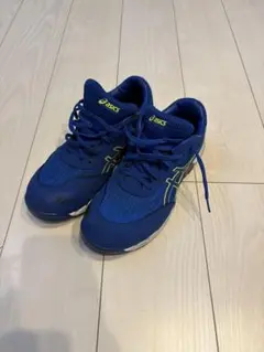 Item thumbnail for item 46387415-9978-44e2-83f5-057f3956f9a0