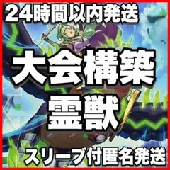 遊戯王 精霊獣使いレラ 精霊獣騎カンナホーク 25th各1枚 - メルカリ