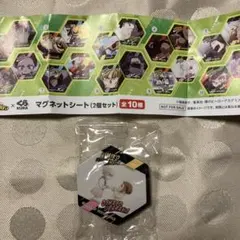 ヒロアカ　マグネットシート