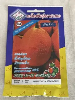 yoshi様 リクエスト 2点 まとめ商品