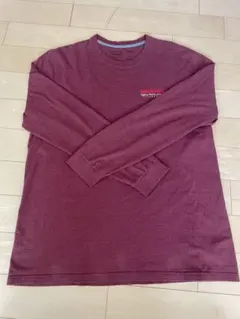 Patagonia BEAR WITNESS 長袖カットソー Lのサムネイル