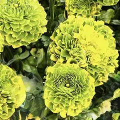 rui様 リクエスト 4点 まとめ商品