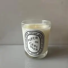 2026年最新】DIPTYQUEフルールドスリジエの人気アイテム - メルカリ