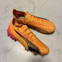 Item thumbnail for item 0c4daaf9-2b7c-47bc-b039-d4621adaf86b