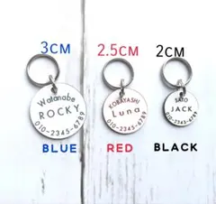 Item thumbnail for item 8498d2c8-105b-49ec-ad56-d96a4541d3e6