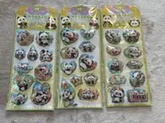 パンダ　ぱんだ　ウォーターシール　３点セット　まとめ売り