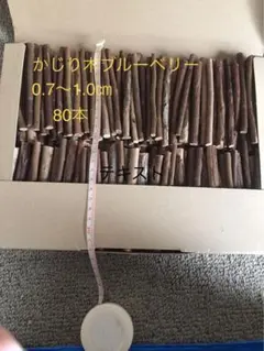 Item thumbnail for item dcada119-2ad1-4ef1-b21d-9105792b3e62