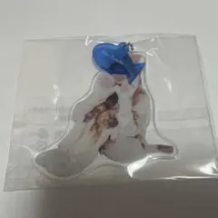 Item thumbnail for item aa230b34-0901-44a5-b575-3923dc6acbad