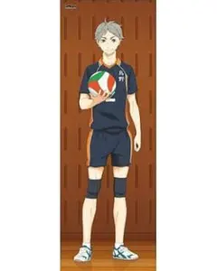2026年最新】ハイキュー!! 等身大タペストリー 菅原孝支の人気アイテム