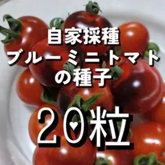 ひろひろ様 リクエスト 3点 まとめ商品