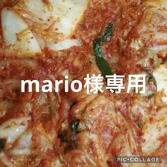 激辛塩分少なめニンニク多め蓮根250gが2セロリ250gが2ワラビ250gのサムネイル