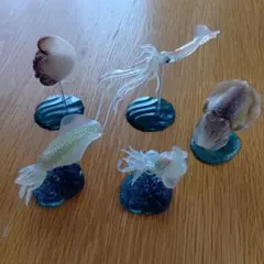 海洋生物フィギュア 5体