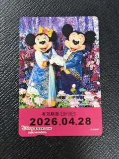 ディズニーリゾートライン フリーきっぷ 蜷川実花 ミッキー ミニーのサムネイル