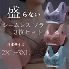 美胸 3枚セット 2XL/3XL胸を小さく見せる 着痩せ ナイトブラ シームレス