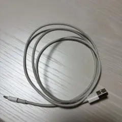 Apple Lightningケーブル USB-A ホワイト