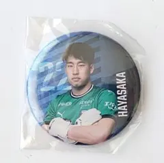 Item thumbnail for item a92f3bb7-23d0-40b4-a048-8067f5887249