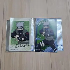 カカシ ミニフォト