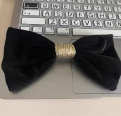 Item thumbnail for item 7d543dad-4c32-43bd-9696-fcd298ed4ac3