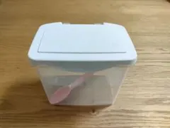 Item thumbnail for item d9691bb5-f0a7-4d31-ac16-2414cbc863cc