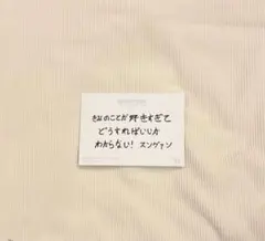 seventeen スングァン メッセージトレカ