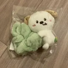 2026年最新】Riize アントン シュシュの人気アイテム - メルカリ