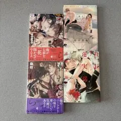 BLコミック　4冊まとめ売り　【51】