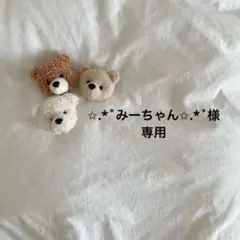 ✩.*˚みーちゃん✩.*˚様専用