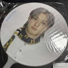 StrayKids ペンミ little house うちわ バンチャン ケース | Mercari