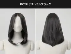 Item thumbnail for item 7bef4013-8e81-441c-a1e1-348b413c6f49