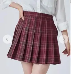 プリーツスカート、リボン、ネクタイセット