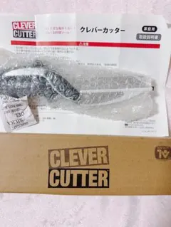 Item thumbnail for item 71b4c90e-edfa-45d7-94d8-aca562782ea7