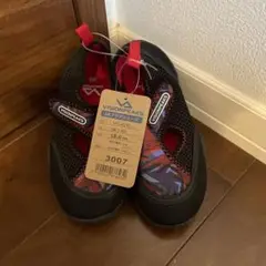 アクアシューズ