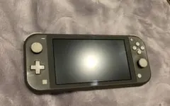 Switchライト グレー