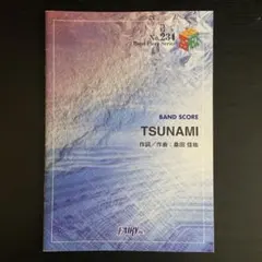 バンドスコア TSUNAMI BAND PIECE SERIES 234