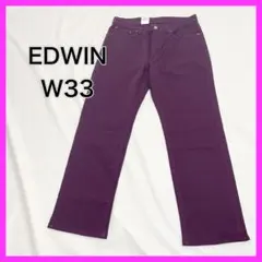 【未使用】 EDWIN INTERNATIONAL BASIC 紫 デニム