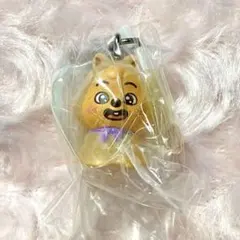 SKZOO めじるしアクセサリー ハンクォッカ