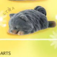 Item thumbnail for item 4a0377cc-b30f-43b2-8f3a-4fad125eb4f3