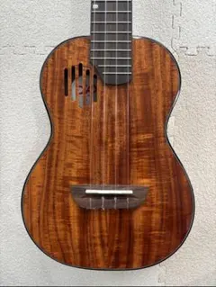 大*様 LAG GuitarsのTramontane T98 アコースティックギ - メルカリ