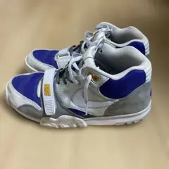 Nike Air グレー/ブルー スニーカー